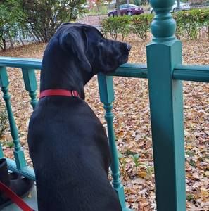 Meet your Posher, Stephanie